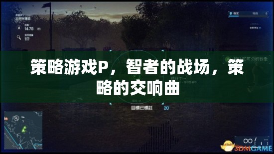 智者的戰(zhàn)場(chǎng)，策略游戲P的交響曲