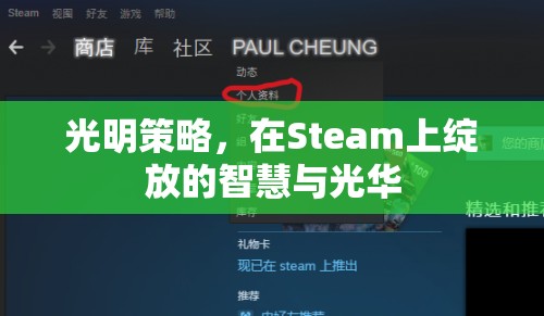 光明策略，Steam上的智慧與光華綻放