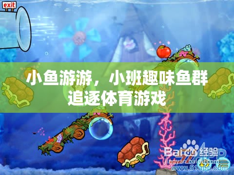 小班趣味魚(yú)群追逐，歡樂(lè)的海洋體育游戲