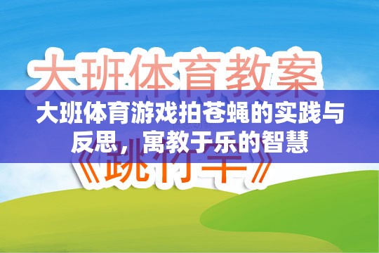 大班體育游戲拍蒼蠅，寓教于樂的實踐與智慧反思