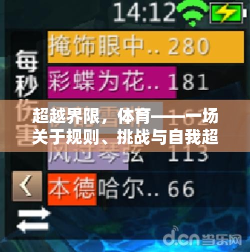 超越界限，體育中的規(guī)則、挑戰(zhàn)與自我超越的盛宴