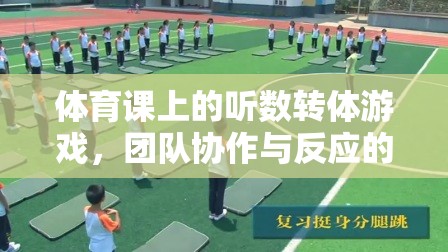 聽數轉體，體育課上的團隊協作與反應力大挑戰(zhàn)  第2張