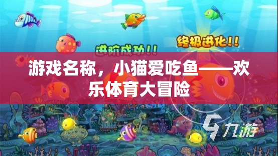 小貓愛吃魚，歡樂體育大冒險