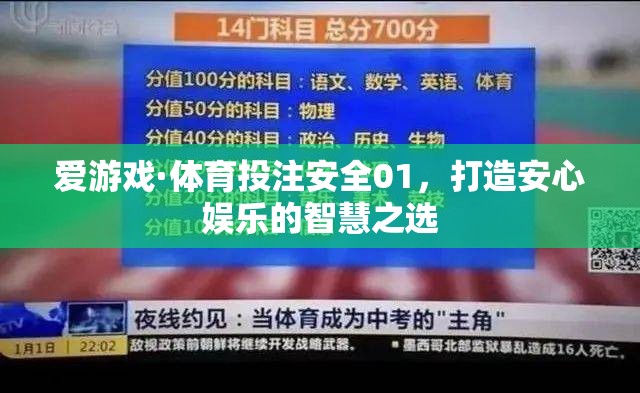 安全01，打造安心娛樂的智慧之選，愛游戲·體育投注的智慧之選