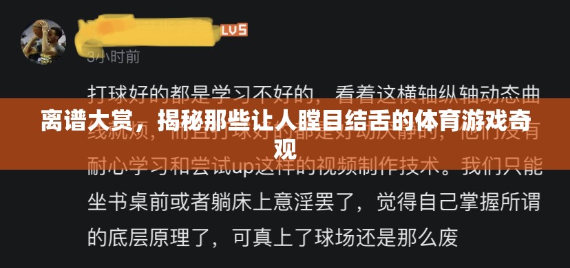 揭秘離譜大賞，體育游戲中的瞠目結舌奇觀