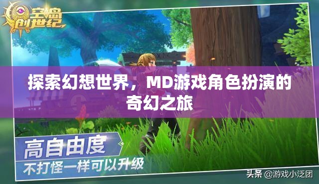 幻想世界的奇幻之旅，MD游戲角色扮演的探索