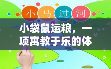 寓教于樂，小袋鼠運(yùn)糧體育游戲教案設(shè)計(jì)