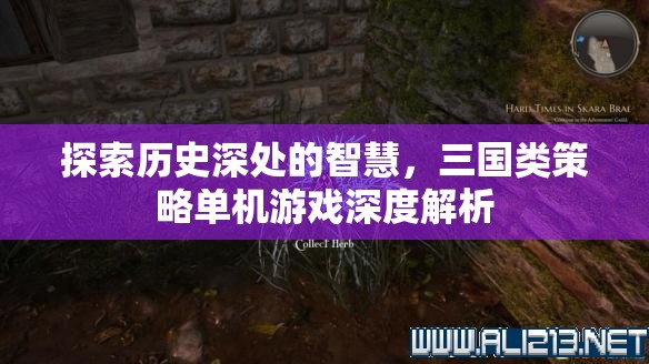 穿越歷史迷霧，三國(guó)類策略單機(jī)游戲的深度解析