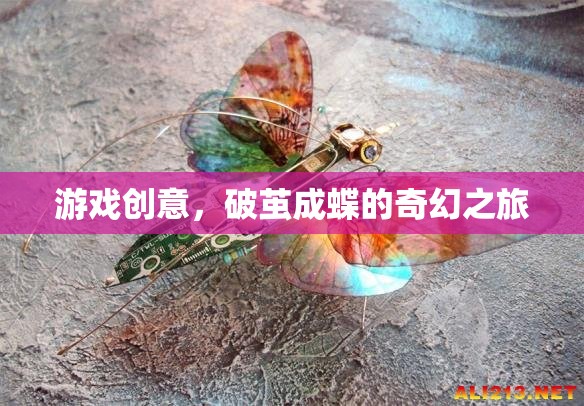 破繭成蝶，一場奇幻的冒險游戲之旅