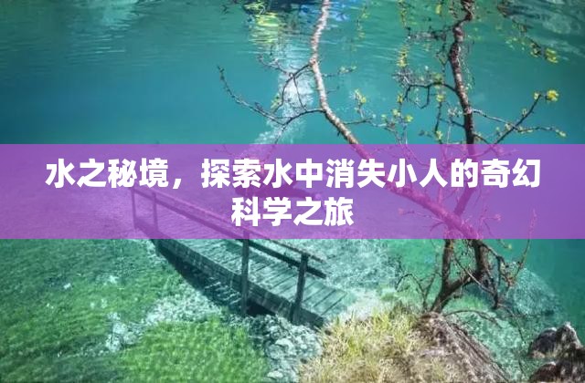 探索水之秘境，揭秘水中消失小人的奇幻科學(xué)之旅