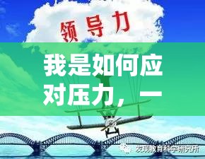 心海航行，我的解壓之旅與壓力應(yīng)對(duì)策略