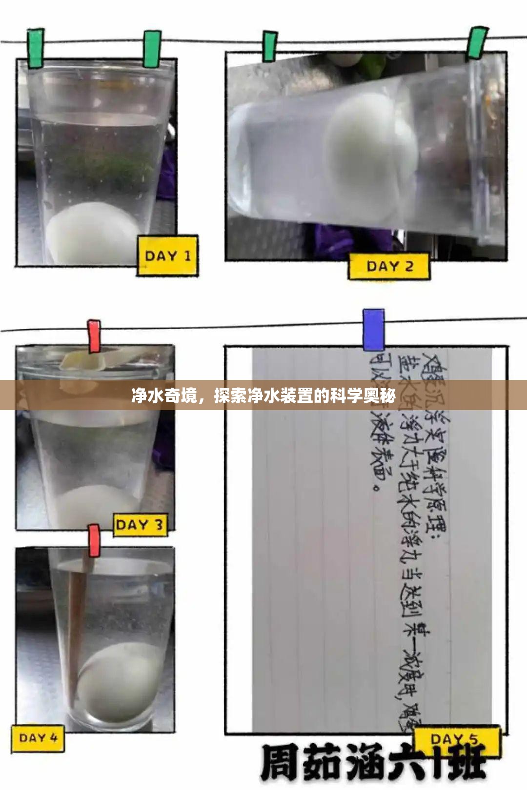 凈水奇境，揭秘凈水裝置的科學(xué)奧秘  第2張