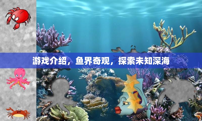 深海奇緣，探索未知的魚界奇觀