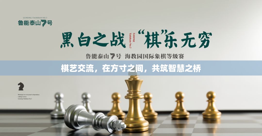 方寸之間，共筑智慧之橋，棋藝交流的魅力