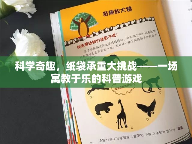 紙袋承重大挑戰(zhàn)，寓教于樂的科普游戲