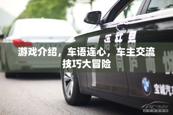 車(chē)語(yǔ)連心，車(chē)主交流技巧大冒險(xiǎn)的精彩游戲介紹  第2張