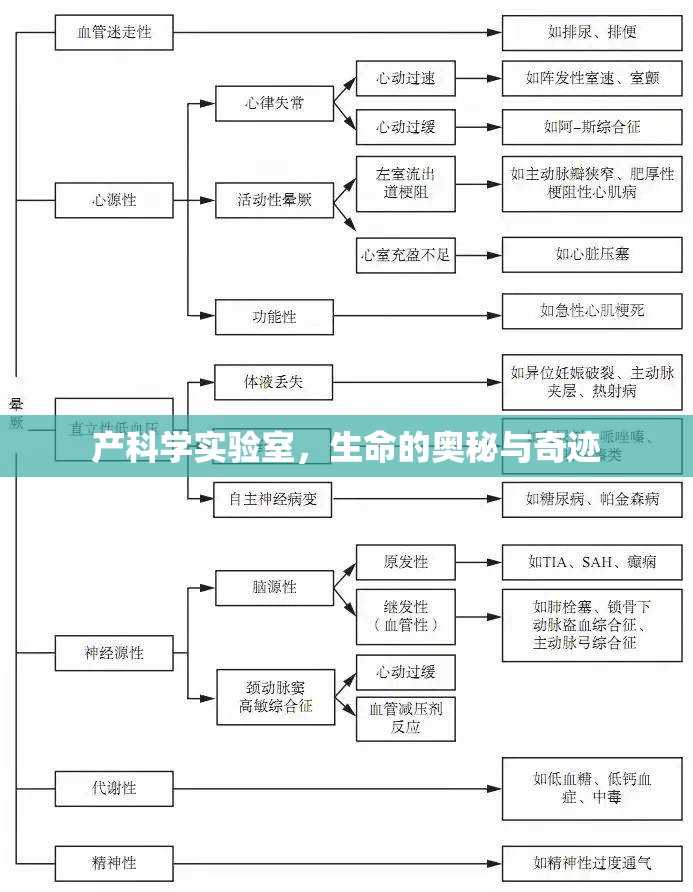 探索產(chǎn)科學(xué)實(shí)驗(yàn)室，生命的奧秘與奇跡