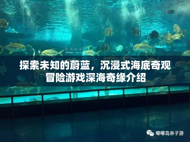 深海奇緣，探索未知的蔚藍(lán)，沉浸式海底奇觀冒險之旅