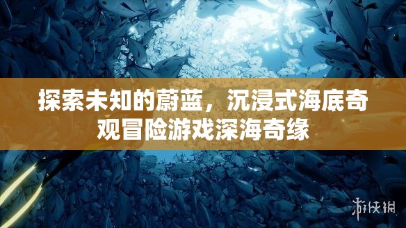 深海奇緣，探索未知的蔚藍(lán)，沉浸式海底奇觀冒險之旅