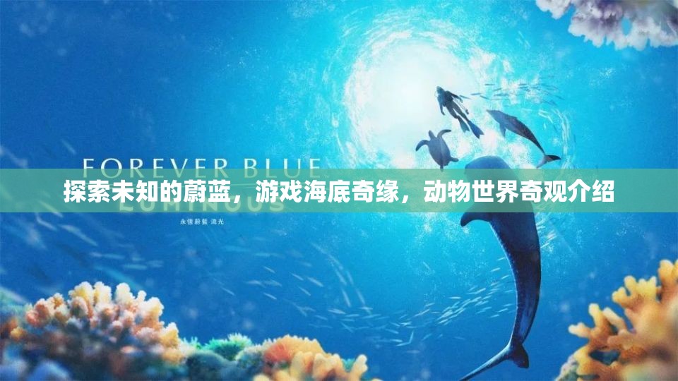 探索海底奇緣，揭秘游戲中的動(dòng)物世界奇觀