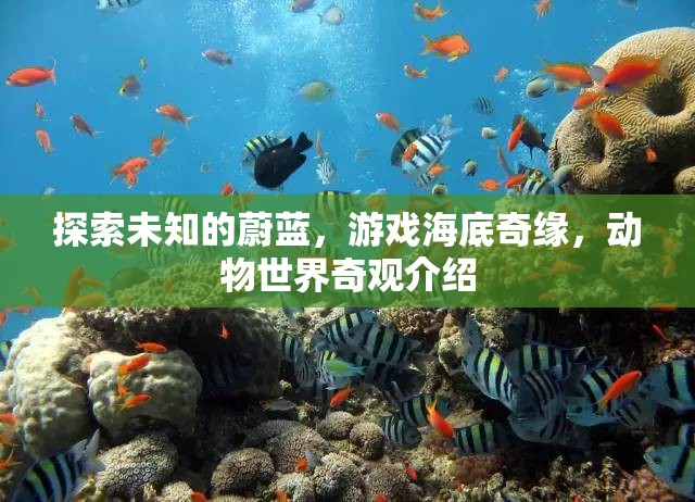 探索海底奇緣，揭秘游戲中的動(dòng)物世界奇觀