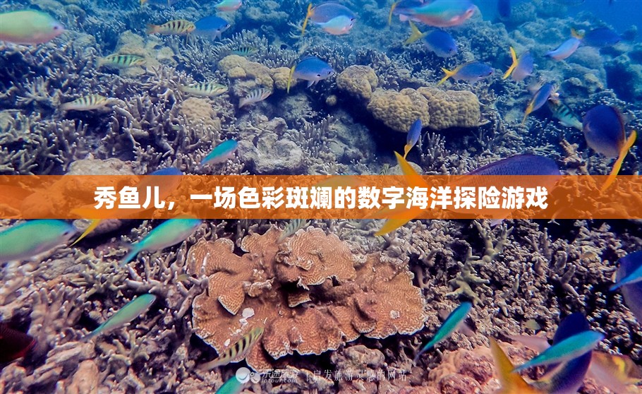 秀魚兒，色彩斑斕的數(shù)字海洋探險(xiǎn)之旅  第3張