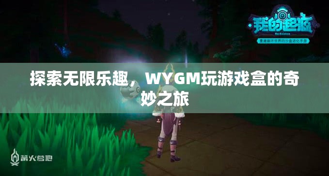 WYGM玩游戲盒，開啟無限樂趣的奇妙之旅