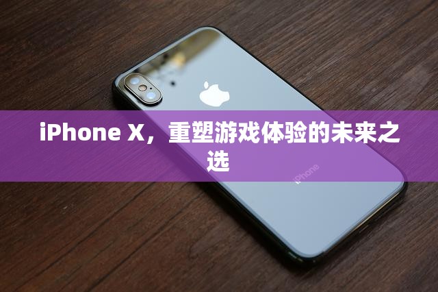 iPhone X，重塑游戲體驗(yàn)的未來(lái)之選  第2張