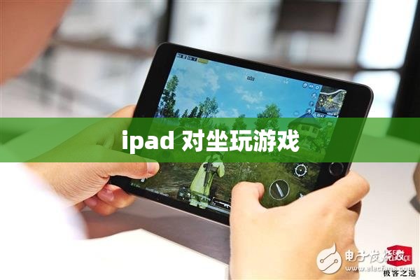 iPad，打造舒適對坐游戲體驗(yàn)的便攜神器  第2張