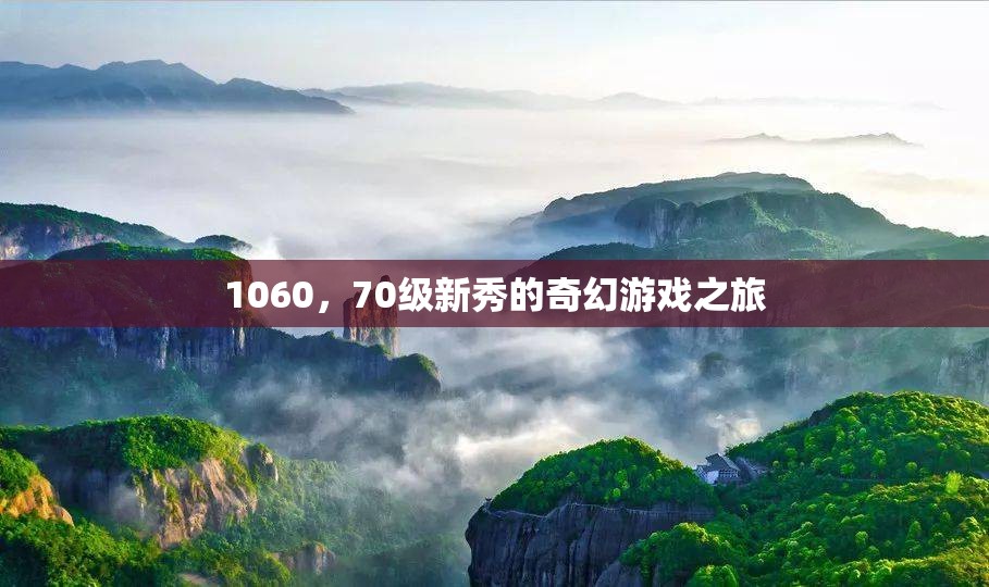 1060，70級新秀的奇幻游戲之旅