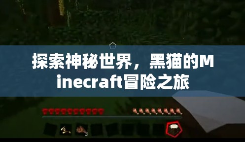 黑貓的Minecraft冒險(xiǎn)，探索神秘世界的奇幻之旅