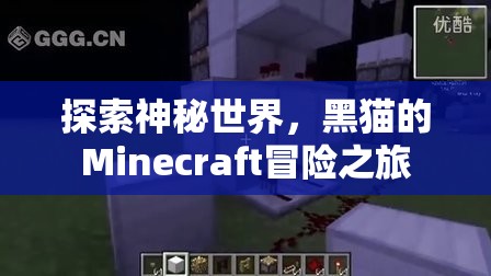 黑貓的Minecraft冒險(xiǎn)，探索神秘世界的奇幻之旅