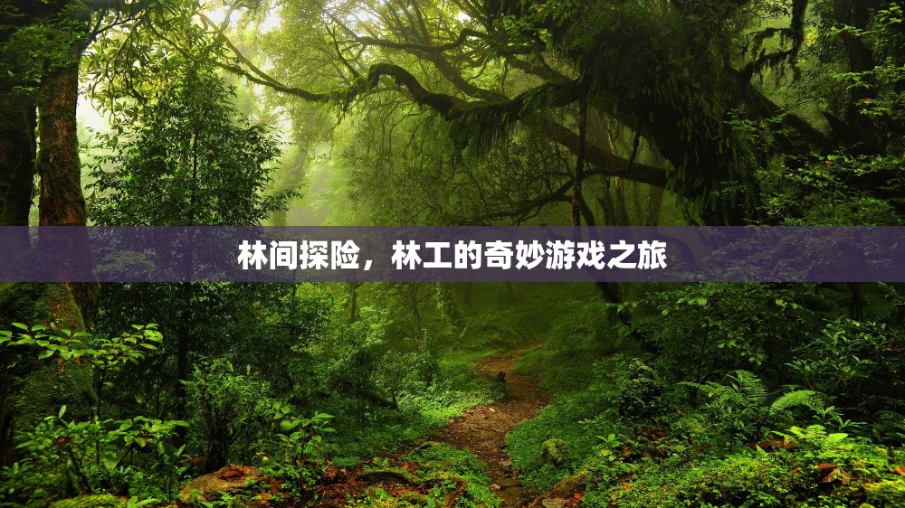 林間探險(xiǎn)，林工的奇妙游戲之旅  第1張