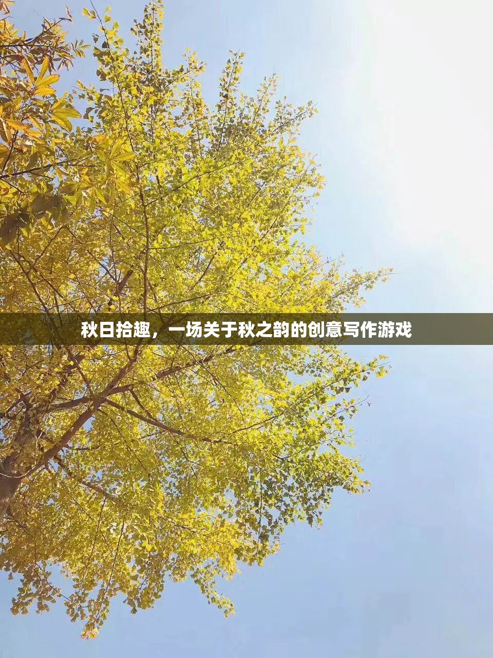 秋日拾趣，解鎖秋之韻的創(chuàng)意寫作之旅  第2張