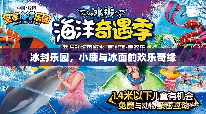 冰封樂園，小鹿與冰面的歡樂奇緣  第2張