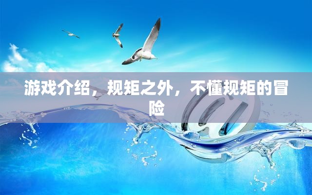 規(guī)矩之外，不懂規(guī)矩的冒險(xiǎn)之旅