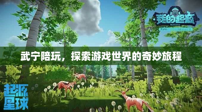 武寧陪玩，解鎖游戲世界的奇妙探險(xiǎn)