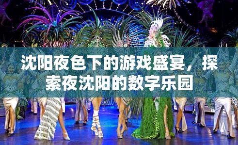 夜沈陽(yáng)的數(shù)字樂(lè)園，探索沈陽(yáng)夜色下的游戲盛宴