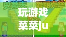 玩游戲菜菜jun，從菜鳥到高手的成長之旅