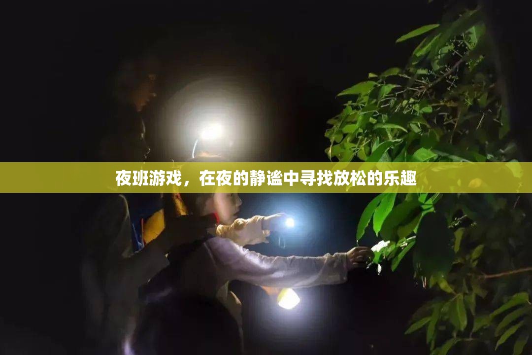 夜幕下的放松之旅，探索夜班游戲的樂趣  第2張