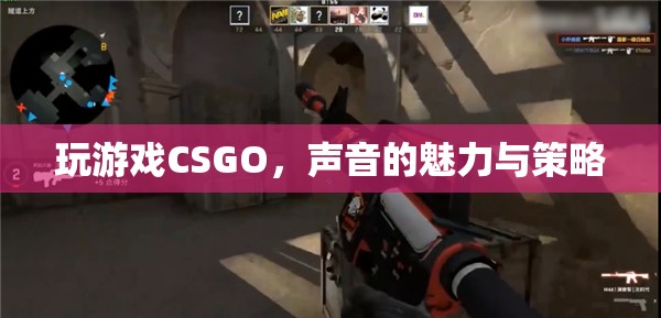 CSGO，聲音的魅力與策略在競(jìng)技場(chǎng)上的雙重作用  第3張