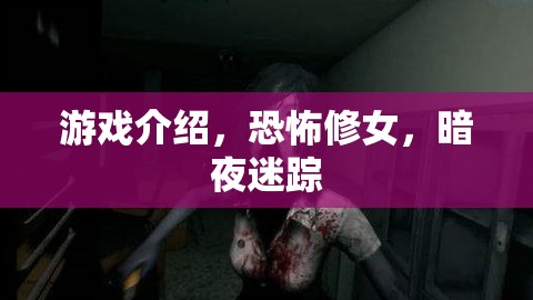 恐怖修女，暗夜迷蹤——挑戰(zhàn)你的心理極限  第1張