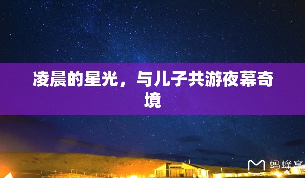 父子夜游奇境，共賞凌晨星光下的神秘之旅