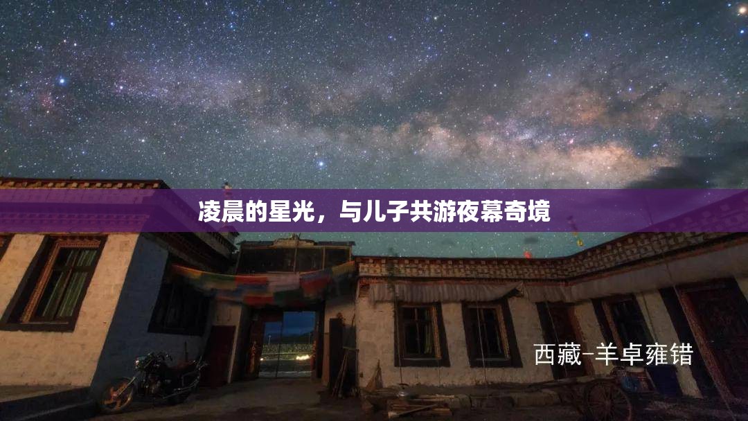 父子夜游奇境，共賞凌晨星光下的神秘之旅