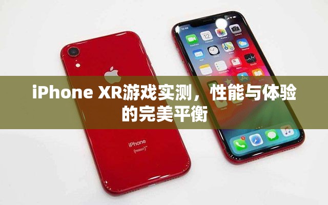 iPhone XR游戲?qū)崪y，性能與體驗(yàn)的完美融合