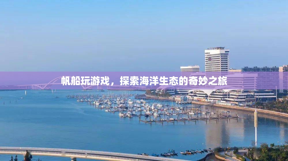 帆船游戲，探索海洋生態(tài)的奇妙之旅