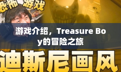 Treasure Boy的冒險(xiǎn)之旅，探索未知世界的奇妙之旅  第1張