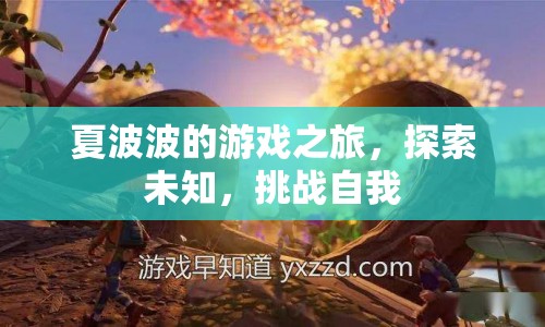 夏波波游戲之旅，探索未知，挑戰(zhàn)自我