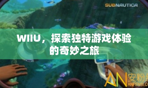 WIIU，開啟獨(dú)特游戲體驗(yàn)的奇妙之旅