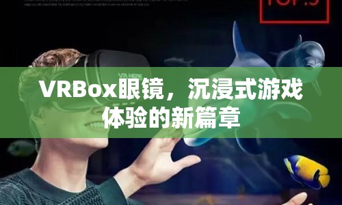 VRBox眼鏡，開啟沉浸式游戲體驗(yàn)新篇章